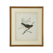 Chelsea House Delicate Birds Frame