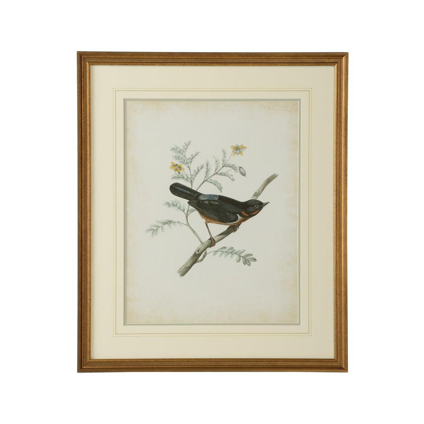 Chelsea House Delicate Birds Frame