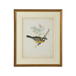 Chelsea House Delicate Birds Frame