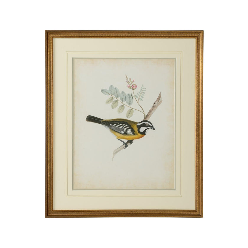 Chelsea House Delicate Birds Frame