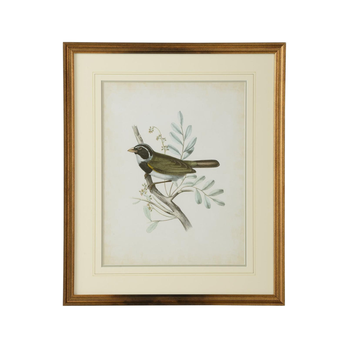 Chelsea House Delicate Birds Frame