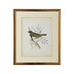 Chelsea House Delicate Birds Frame