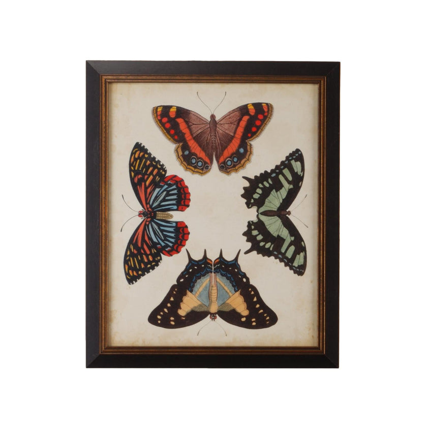 Chelsea House Display of Butterflies Frame