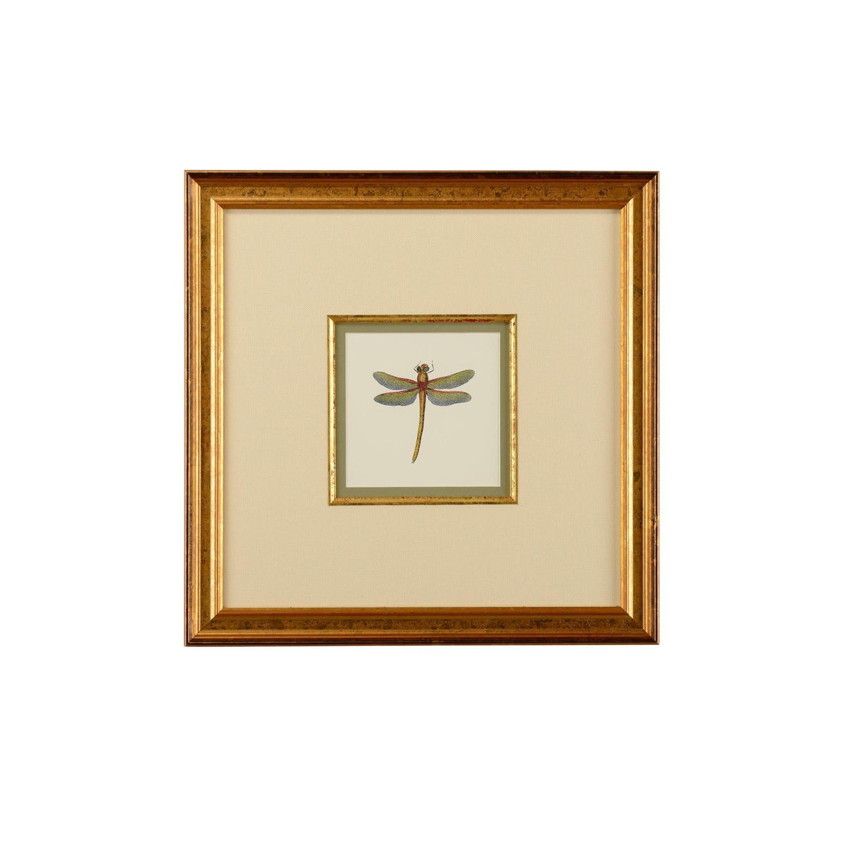Chelsea House Miniature Dragonfly Frame