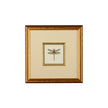Chelsea House Miniature Dragonfly Frame