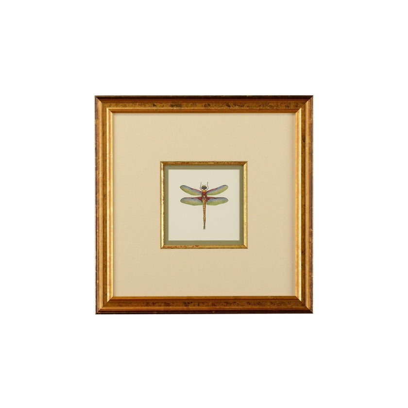Chelsea House Miniature Dragonfly Frame