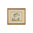 Chelsea House Multicolor Bird Frame