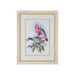 Chelsea House Pastel Parrots Frame