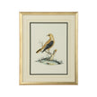 Chelsea House Cain Birds Frame