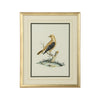 Chelsea House Cain Birds Frame