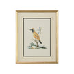 Chelsea House Cain Birds Frame