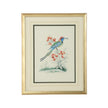 Chelsea House Cain Birds Frame