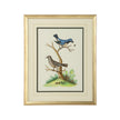 Chelsea House Cain Birds Frame