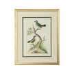 Chelsea House Cain Birds Frame
