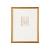 Chelsea House Botanical Relief Frame