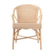 Chelsea House Hope Hill Chair