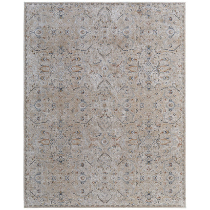 Feizy Pasha 39M6F Transitional Distressed in Taupe/Ivory/Blue