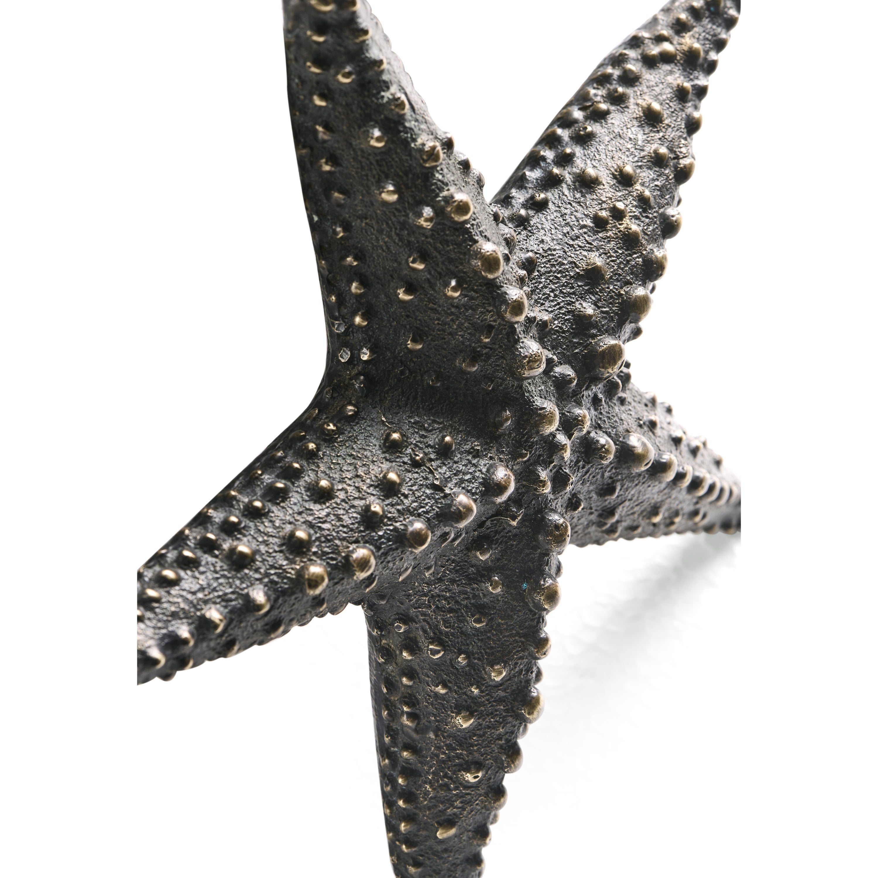 Jonathan Charles Dark Bronze Starfish Statue