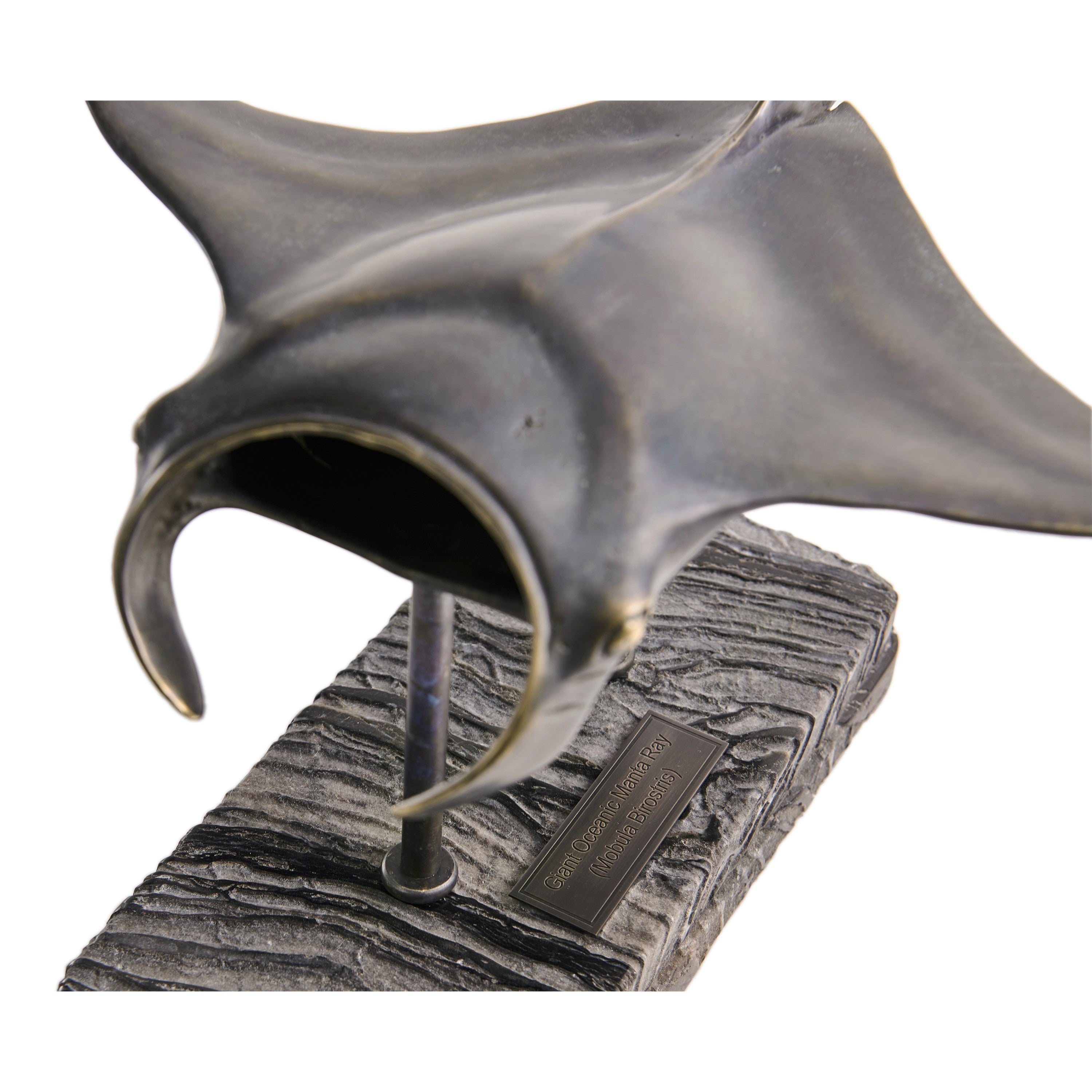 Jonathan Charles Manta Ray Bronze Statue