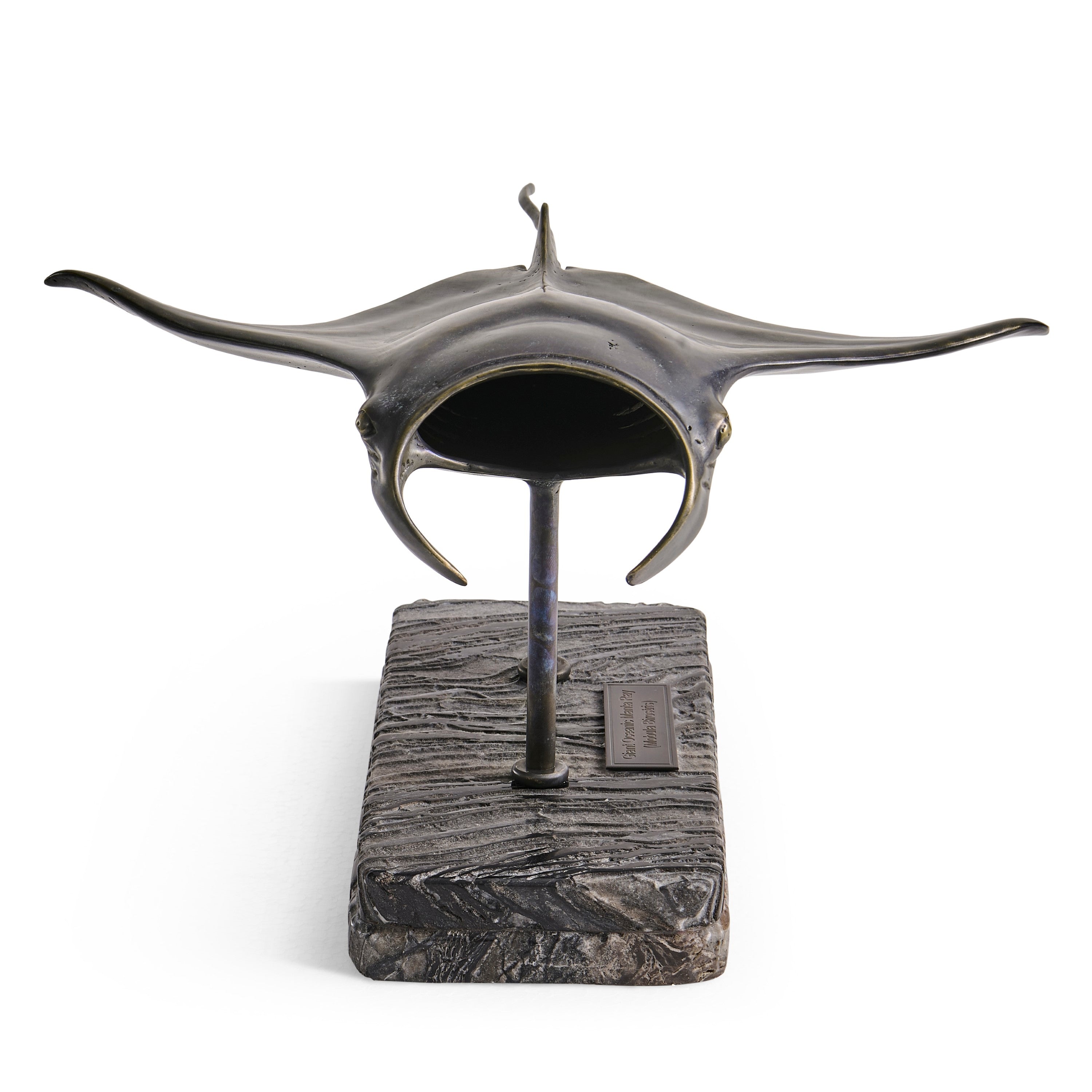 Jonathan Charles Manta Ray Bronze Statue