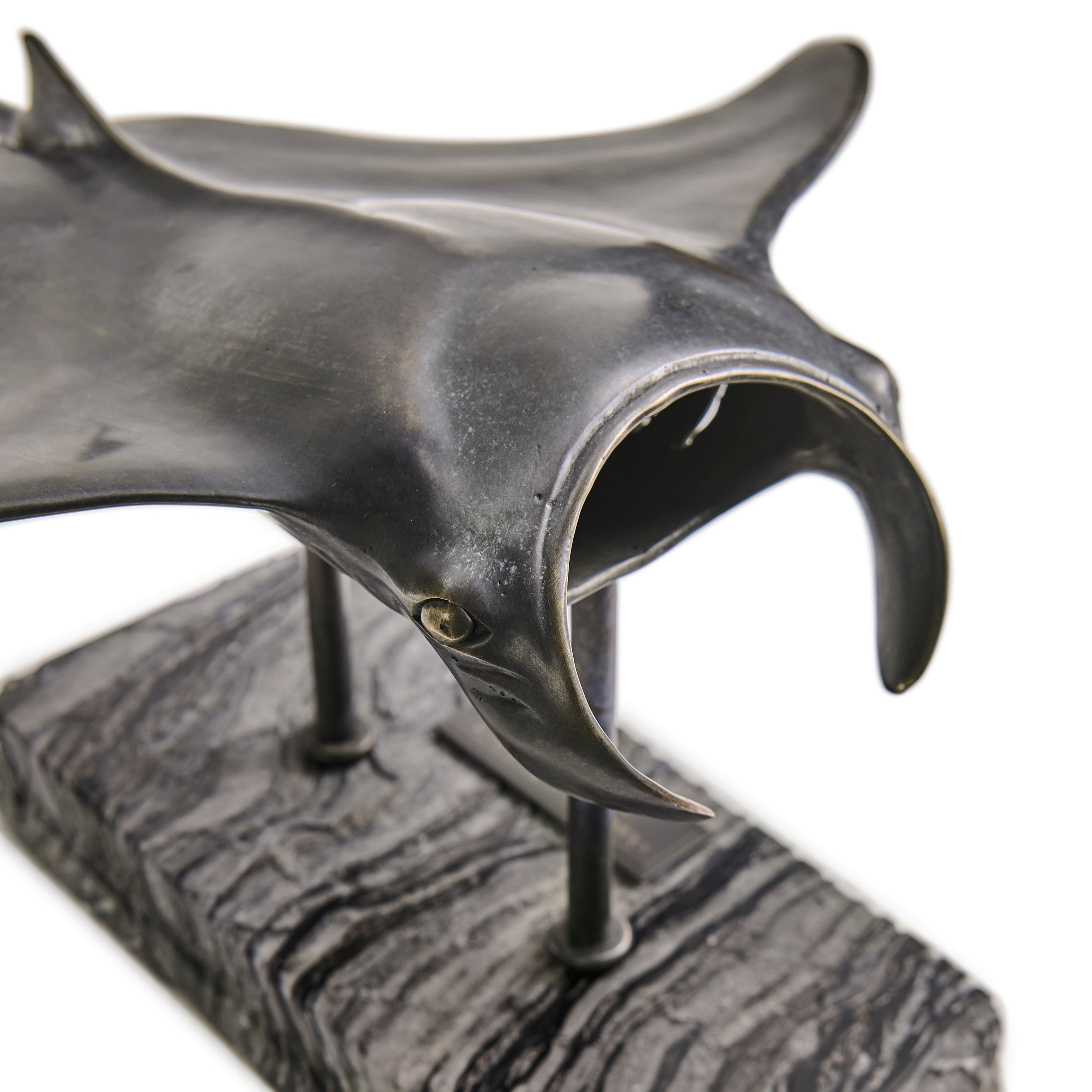 Jonathan Charles Manta Ray Bronze Statue