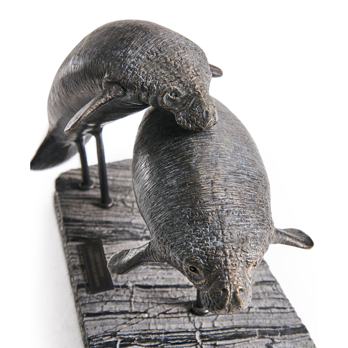 Jonathan Charles Raised Manatee Bronze Statue