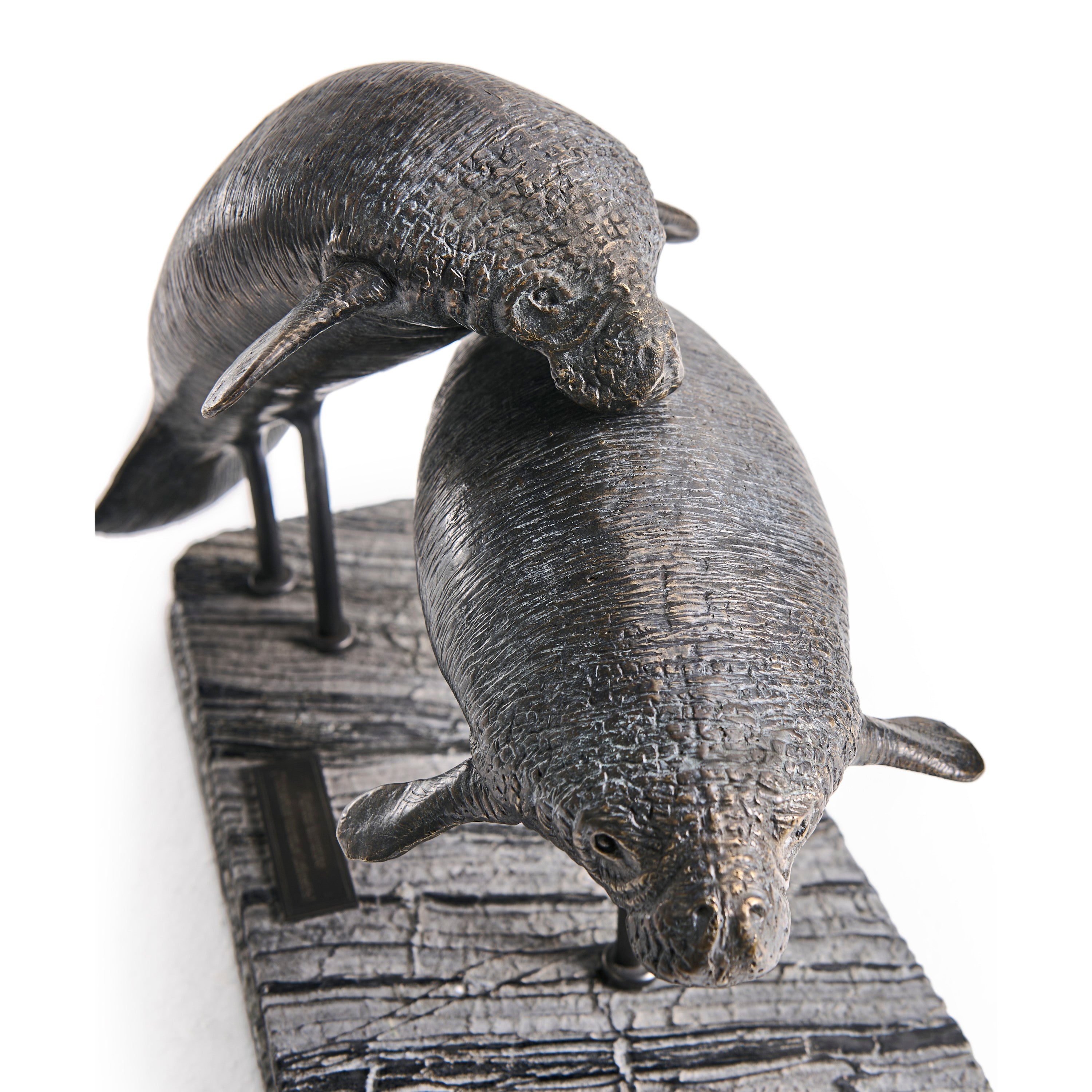 Jonathan Charles Raised Manatee Bronze Statue