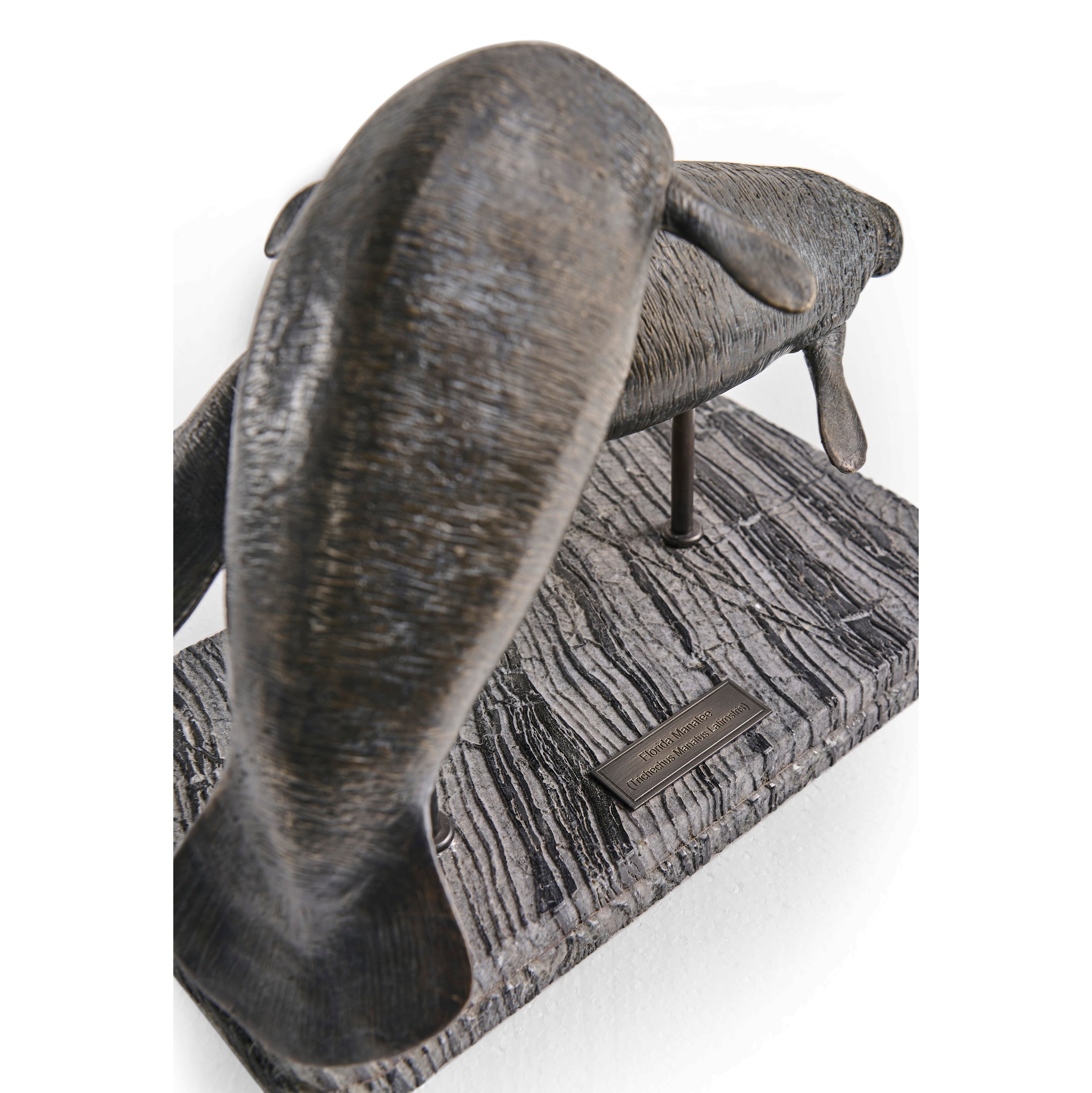 Jonathan Charles Raised Manatee Bronze Statue