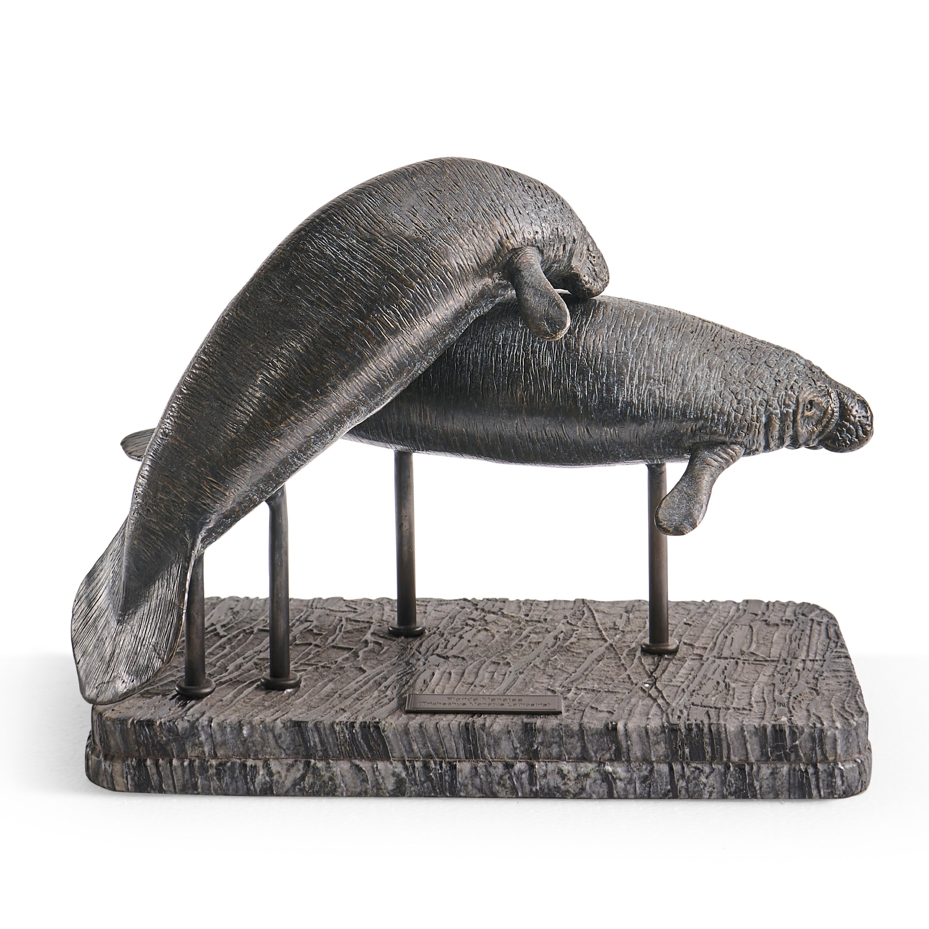 Jonathan Charles Raised Manatee Bronze Statue