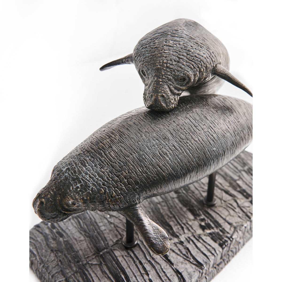 Jonathan Charles Raised Manatee Bronze Statue