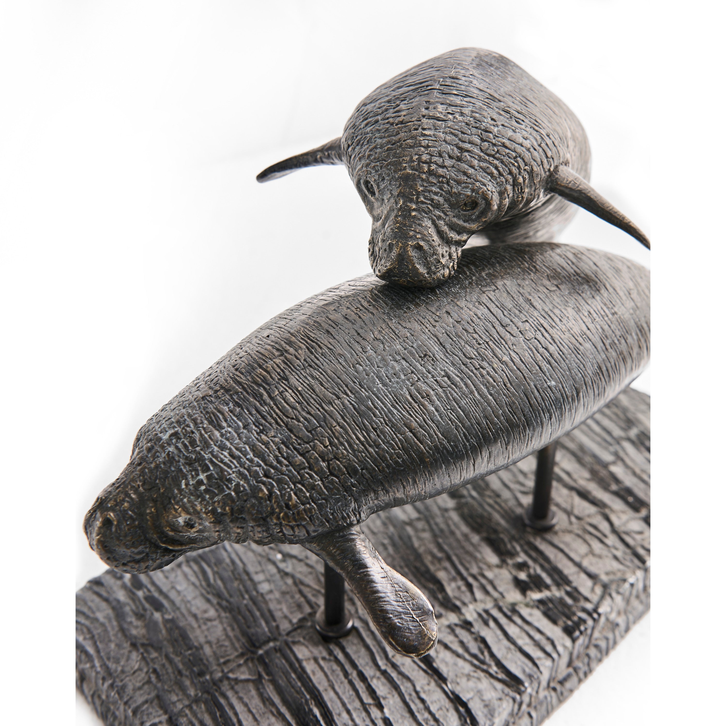 Jonathan Charles Raised Manatee Bronze Statue