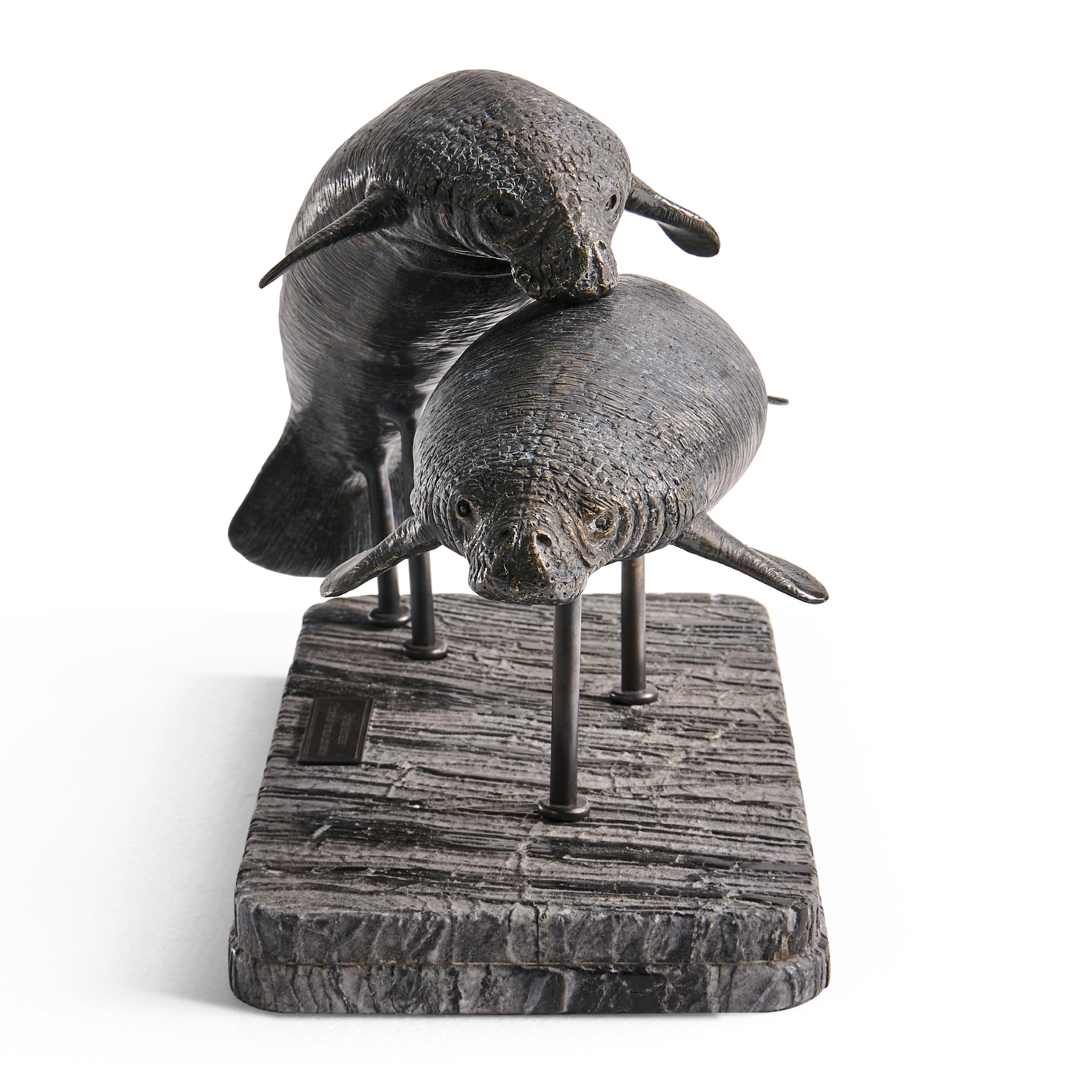 Jonathan Charles Raised Manatee Bronze Statue