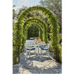 Century Furniture Sloan Outdoor Dining Arm Chair
