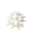 Global Views Urchin - Matte White