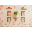 Chelsea House Cane Picture Light Sconce