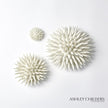 Global Views Urchin Wall Art by Ashley Childers Clearance