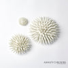 Global Views Urchin Wall Art by Ashley Childers Clearance