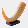 Global Views Mounted Horn