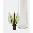 Global Views Leaf Top Bottle