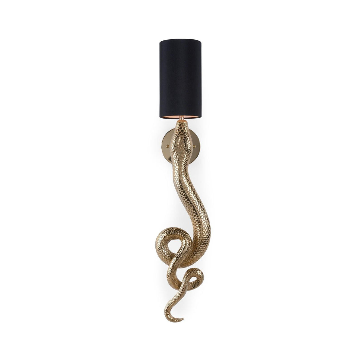 Wildwood Sapera Brass Sconce