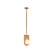 Wildwood Orin Brass Pendant