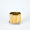 Global Views Corrugated Bamboo Cachepot