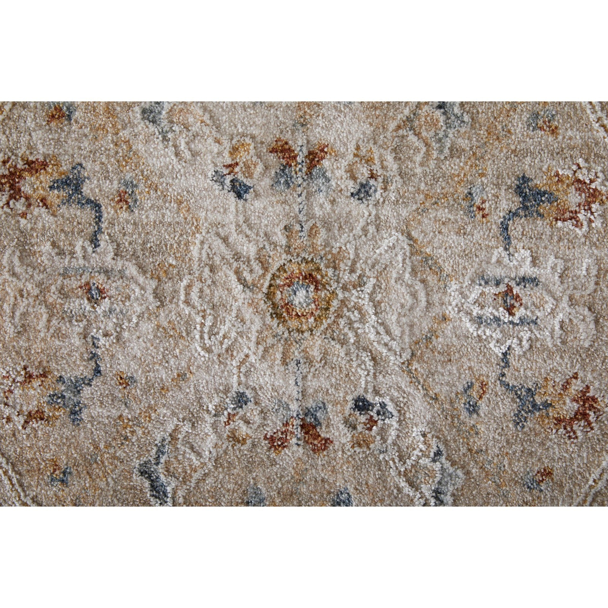Feizy Pasha 39M6F Transitional Distressed in Taupe/Ivory/Blue