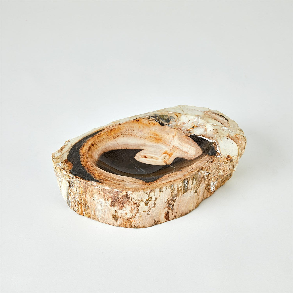 Global Views Petrified Bowl