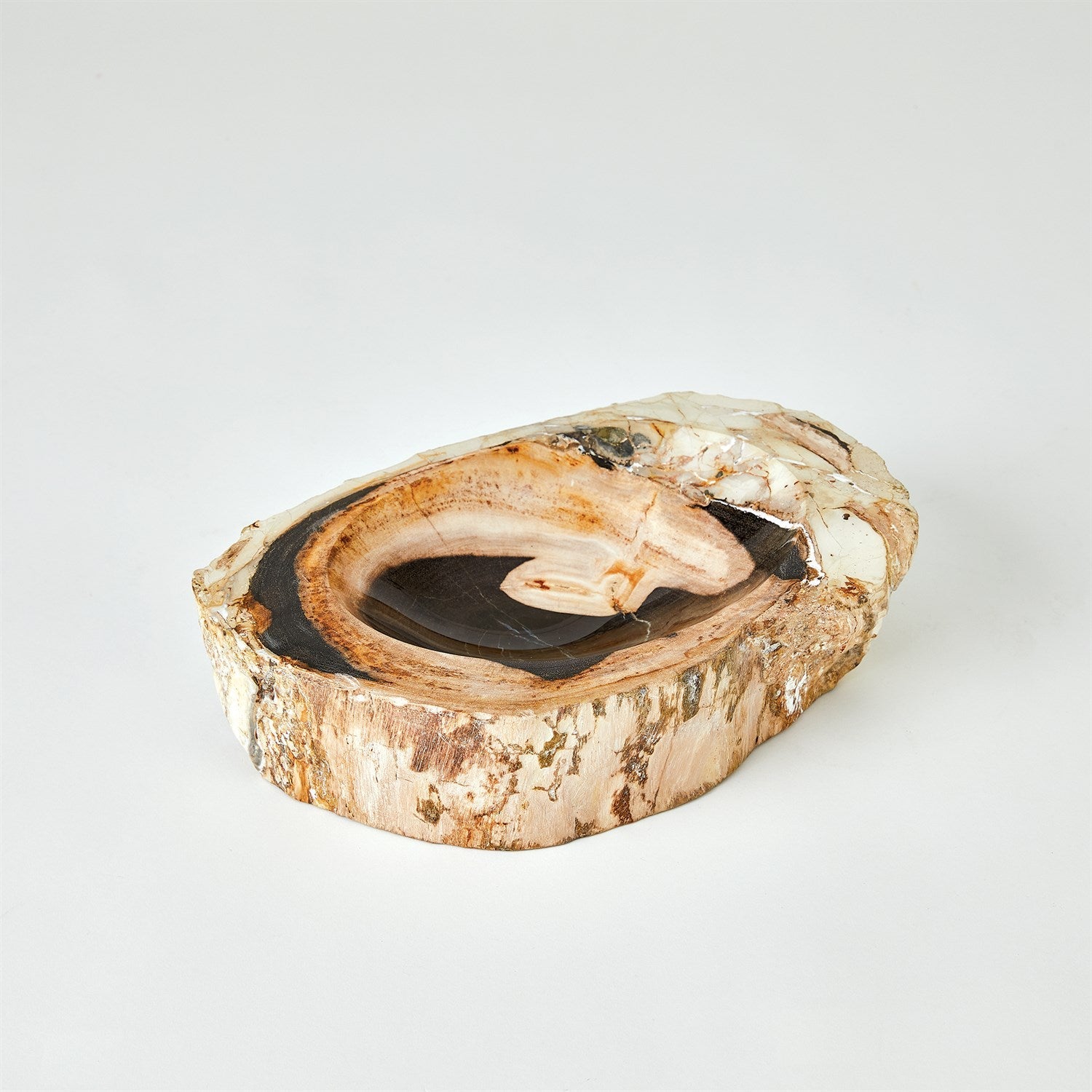 Global Views Petrified Bowl