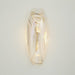 Global Views Murano Wall Sconce