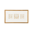 Chelsea House Botanical Relief Frame