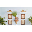 Chelsea House Baytree Wicker Bracket