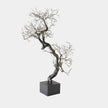 Global Views Fuyuki Tree
