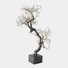 Global Views Fuyuki Tree